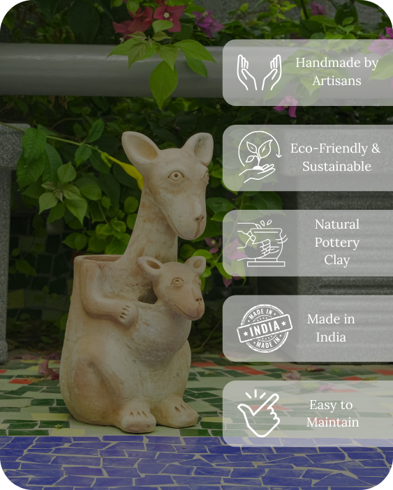 Hoppy Kangaroo