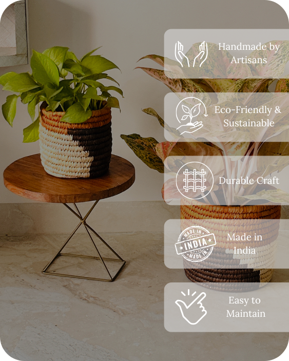 HAVEN OF HUSK (SET OF 2)