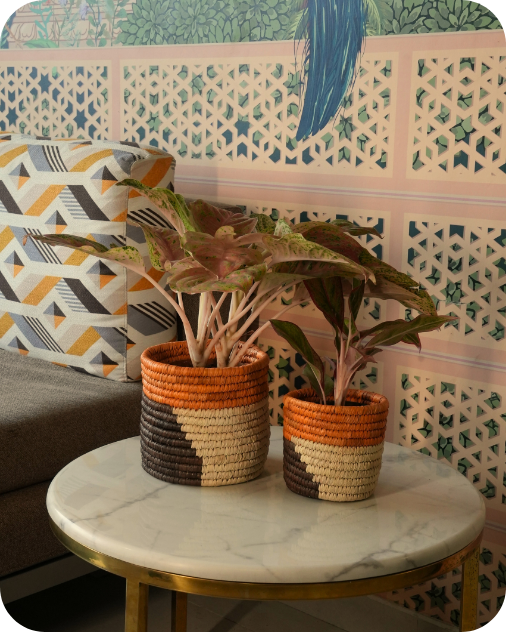 HAVEN OF HUSK (SET OF 2)