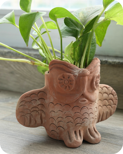 Mini Owl Oasis