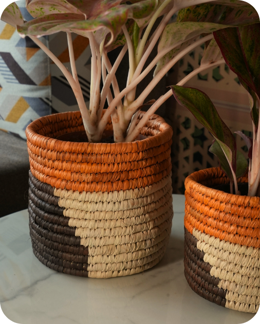 HAVEN OF HUSK (SET OF 2)