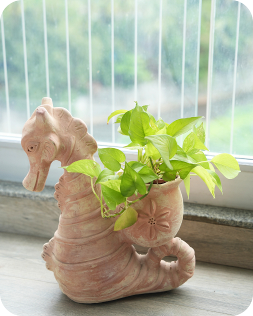 Seashell Seahorse