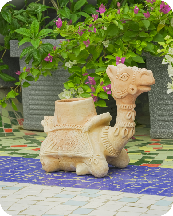 Hump Camel