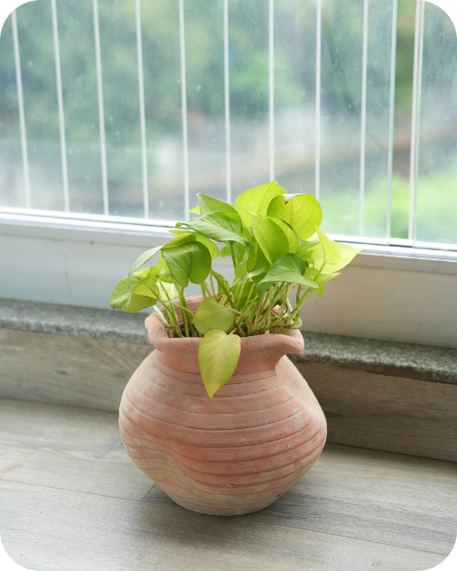 Contemporary Twisted