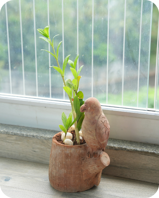 Vibrant Winged Parrot