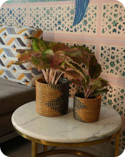 SOIL & STILLNESS (SET OF 2)