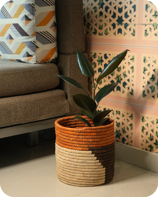 HAVEN OF HUSK ORIGIN