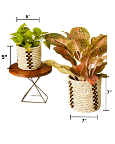 WOVEN ROOTS (SET OF 2)