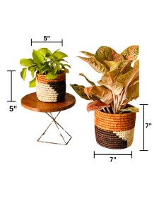 HAVEN OF HUSK (SET OF 2)