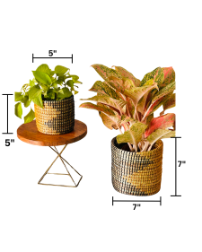SOIL & STILLNESS (SET OF 2)
