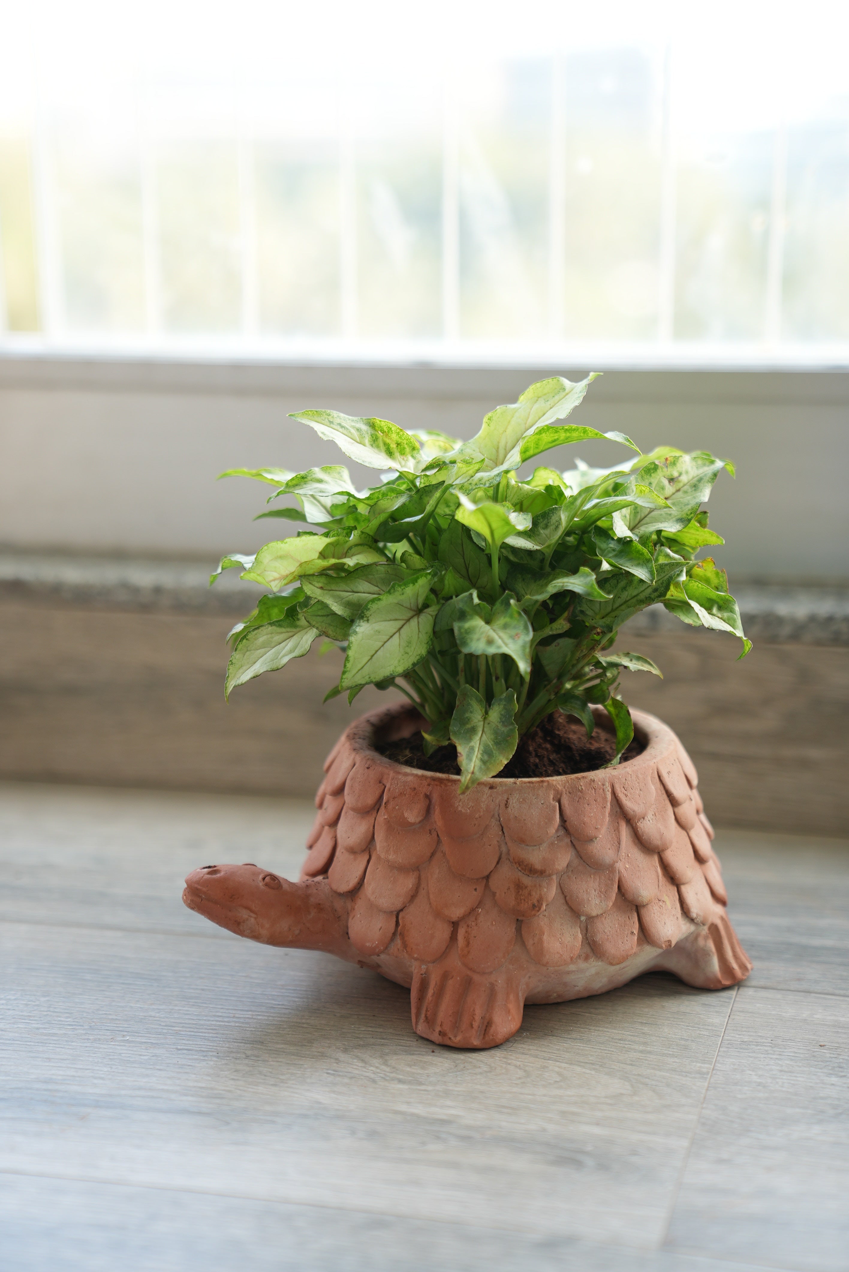 Thanksgiving Tabletop Planters