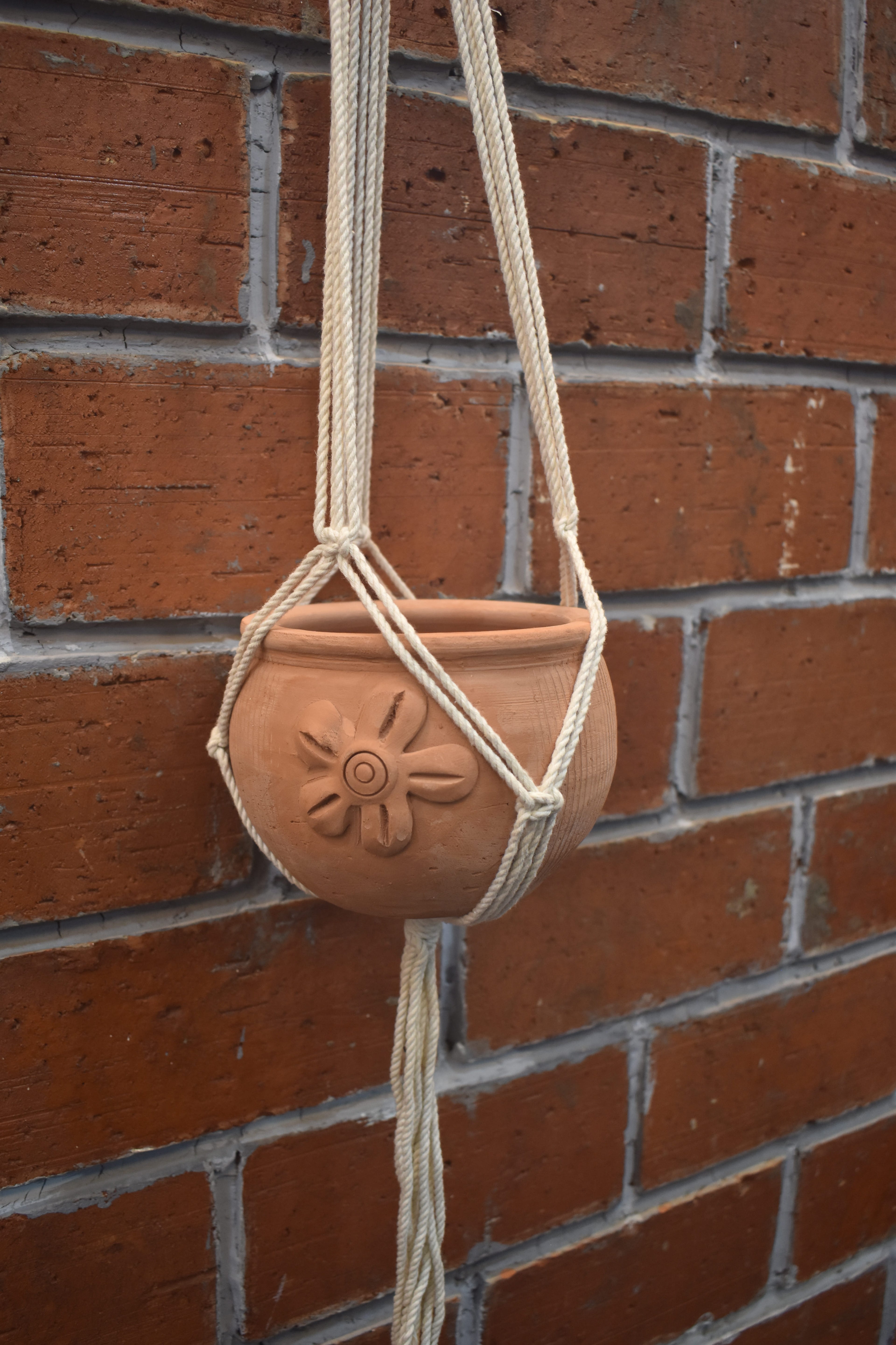 Fern- Macramé- Planter- Combo