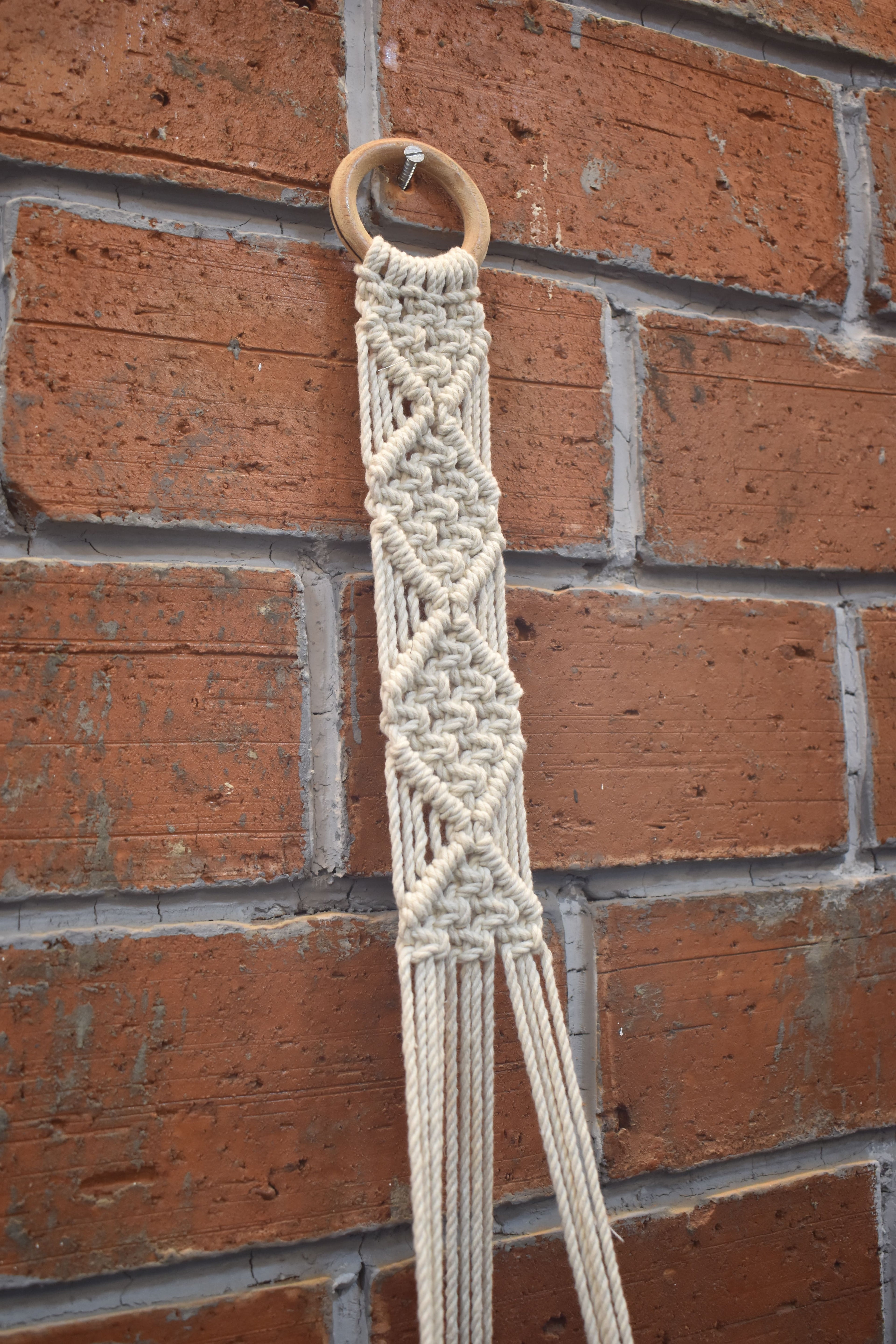 Fern- Macramé- Planter- Combo