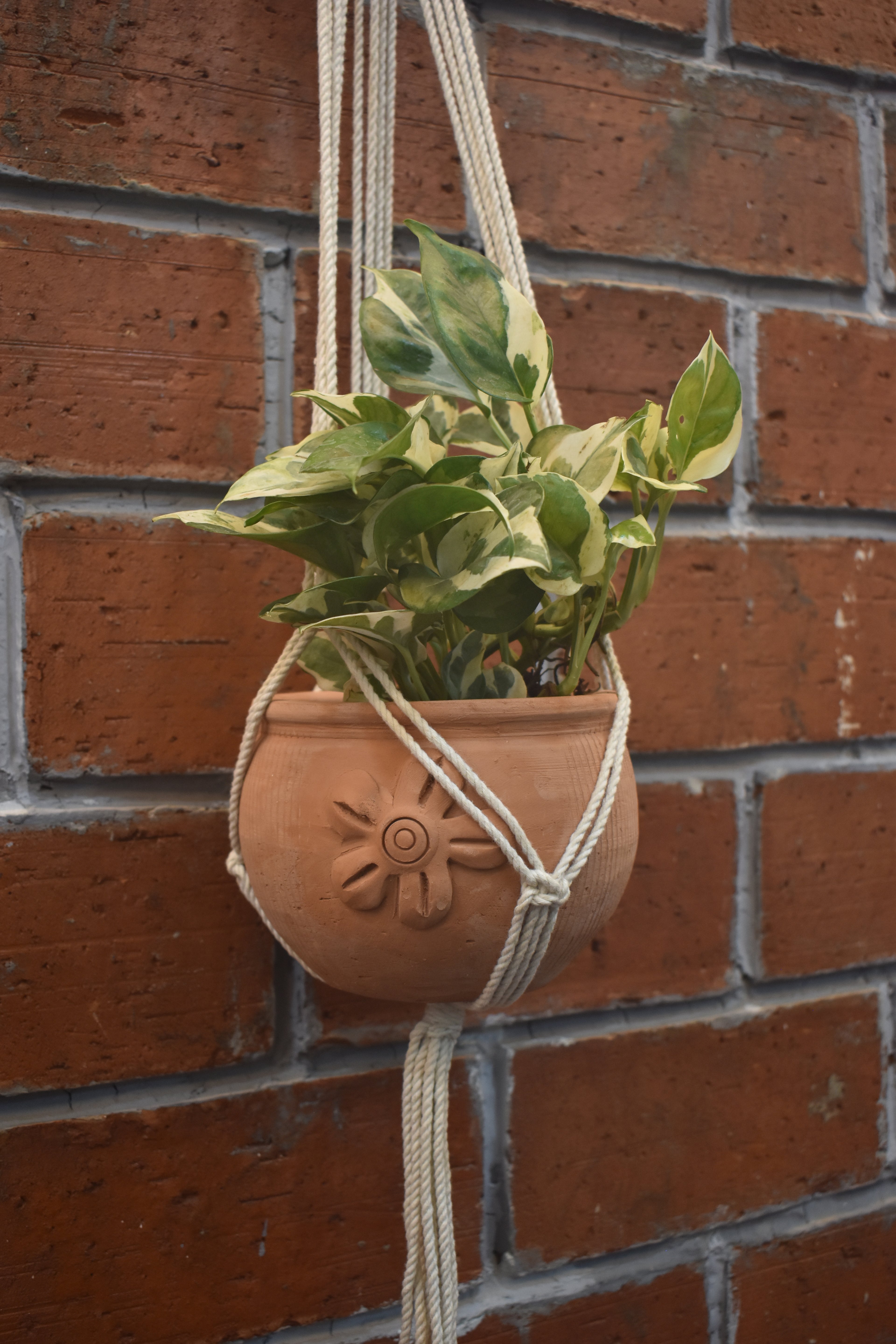 Cedar-Macramé - Planter- Combo