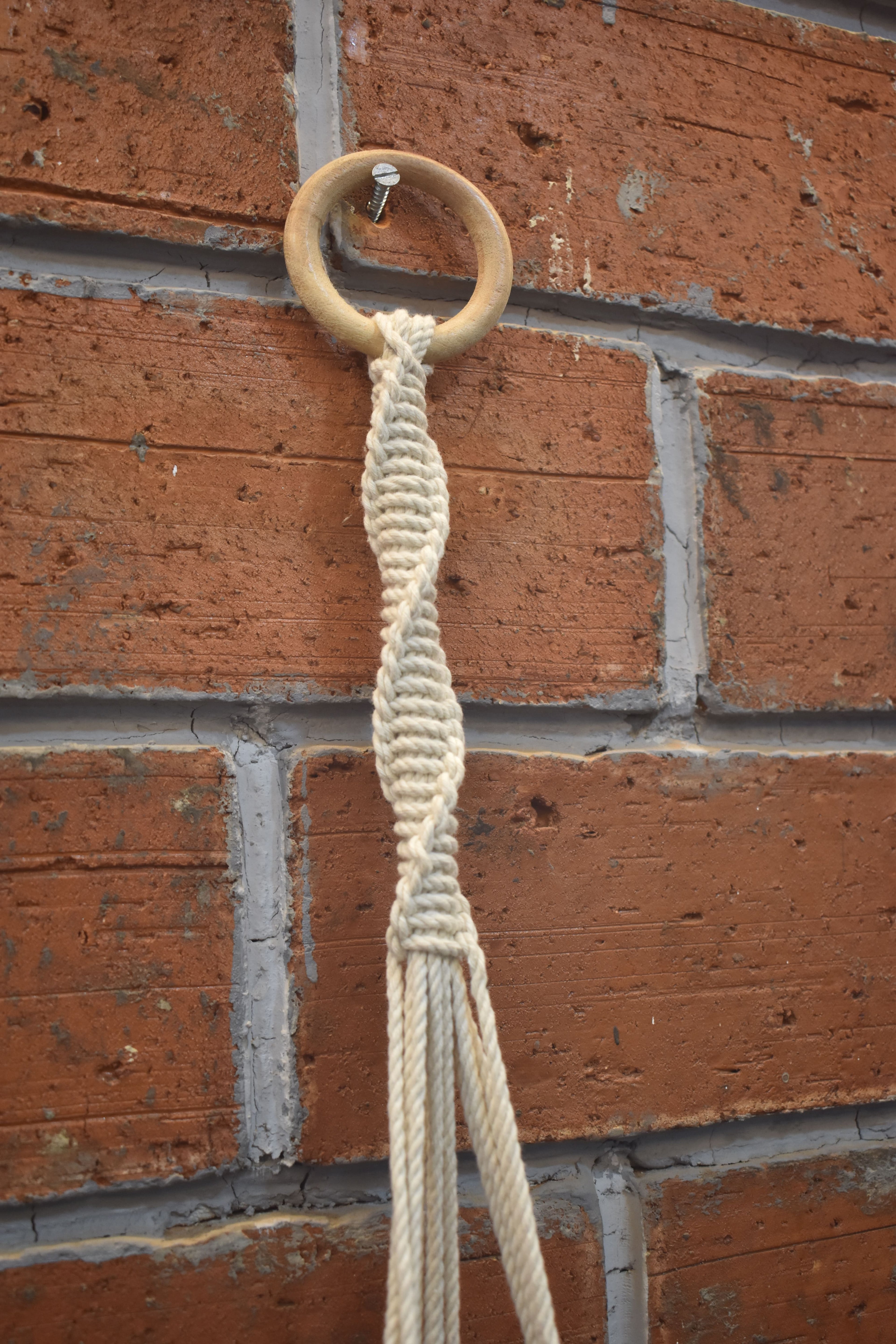 Hazel-Macramé - Planter- Combo