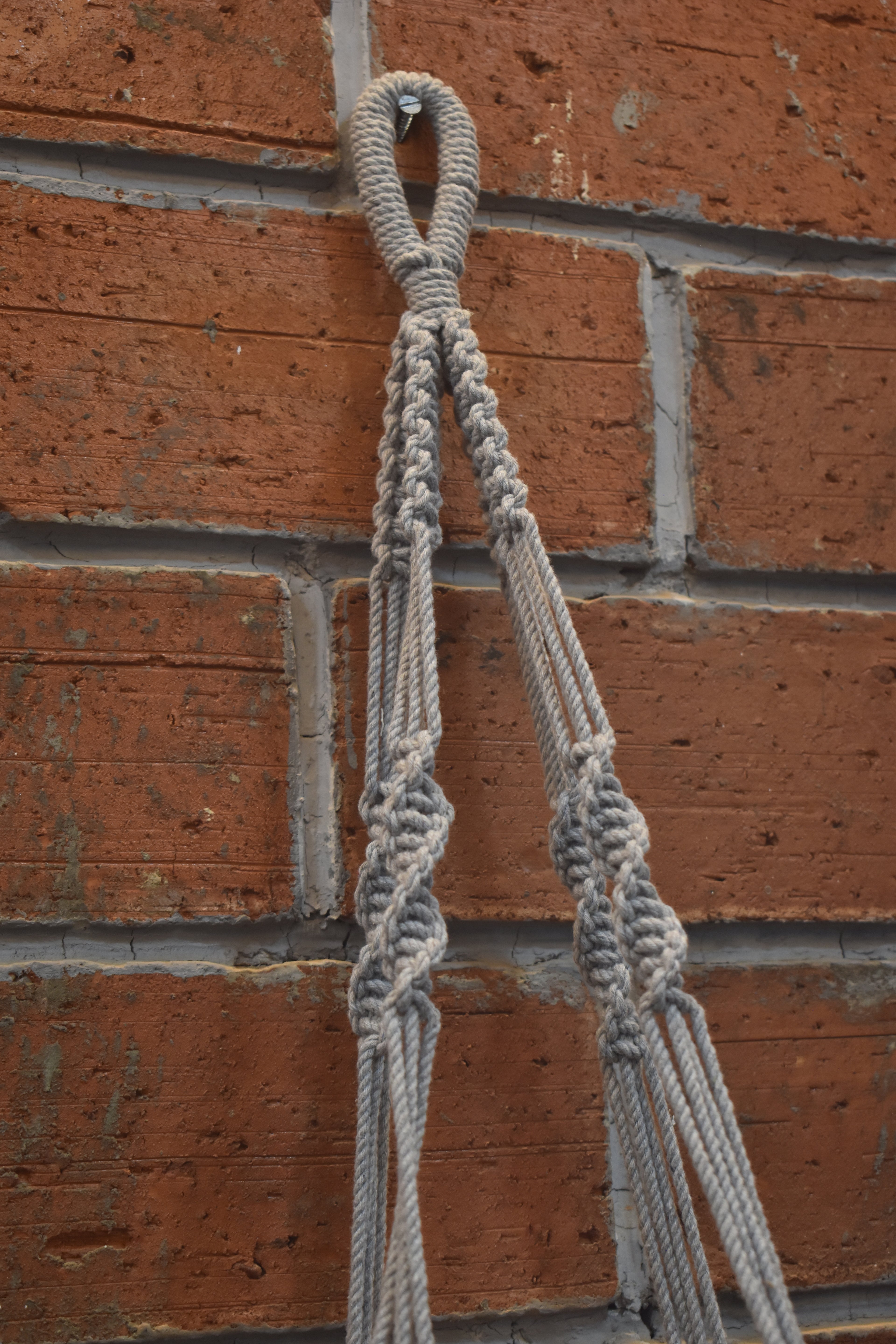 Sage-Macramé-Planter- Combo