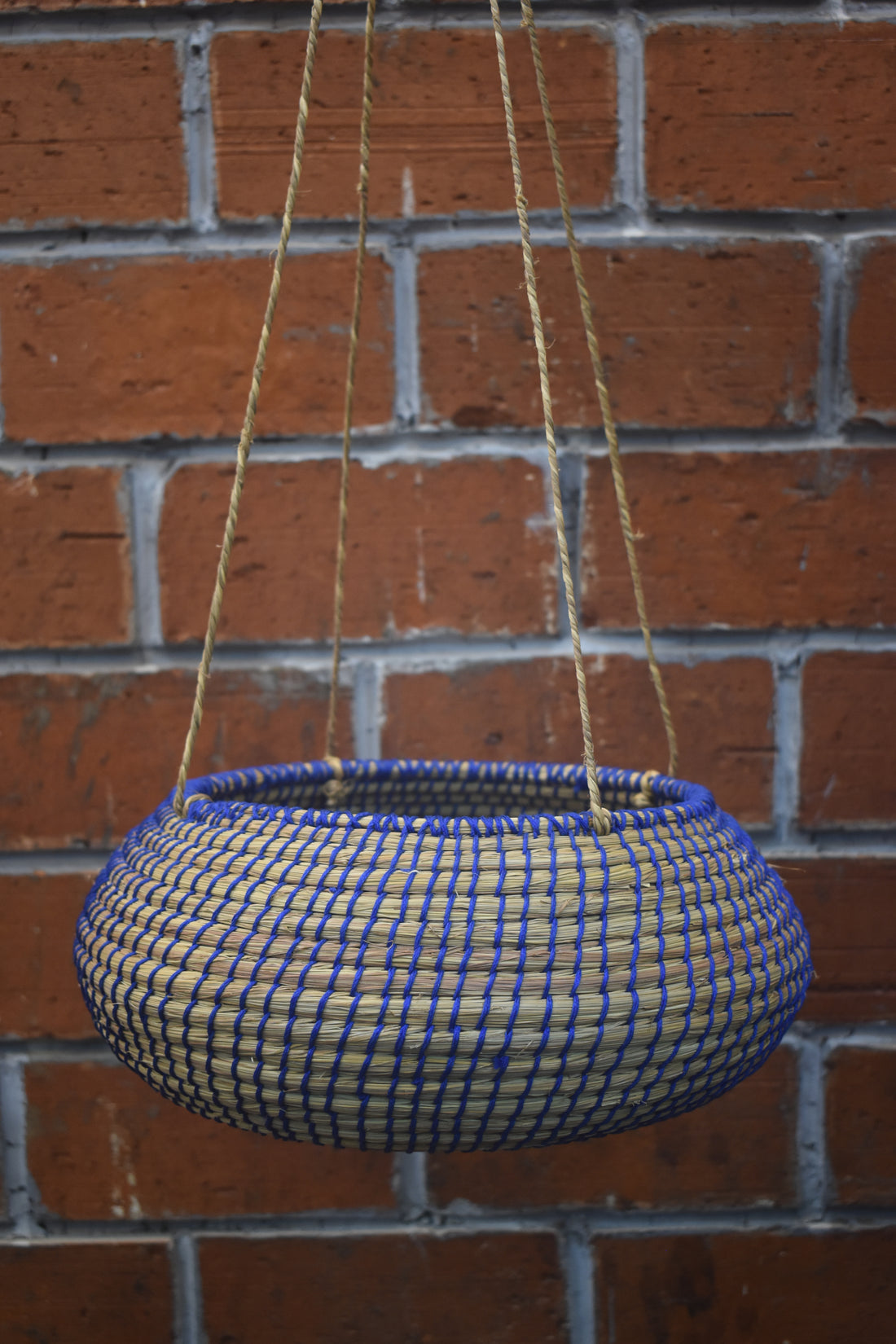 Twilight Trail Planter