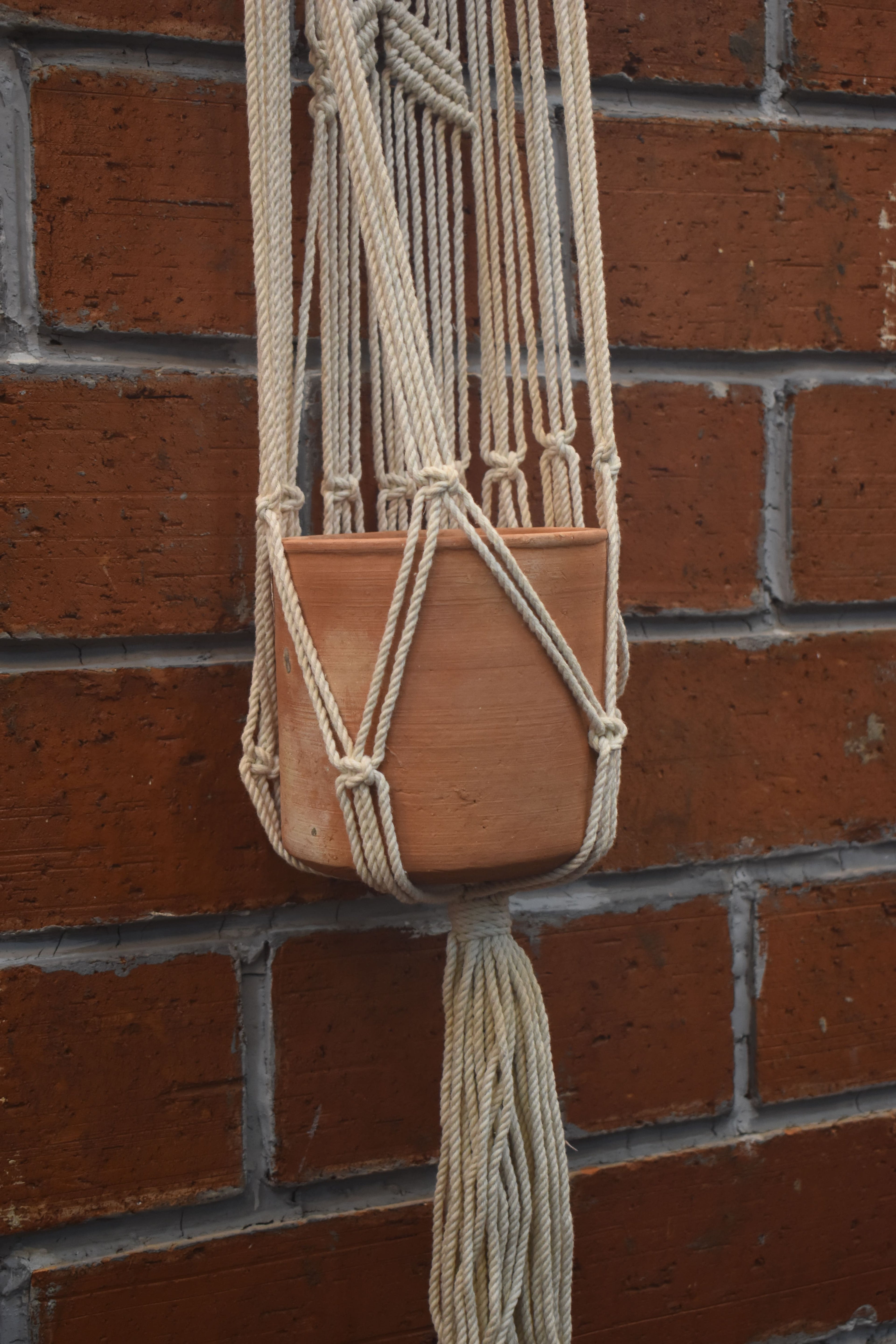 Flora-Macramé- Planter- Combo