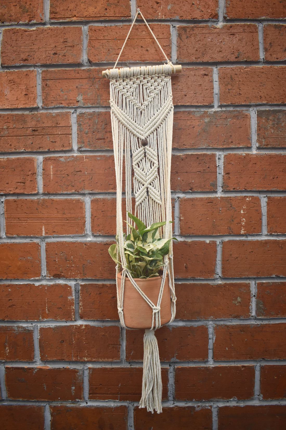 Flora-Macramé- Planter- Combo