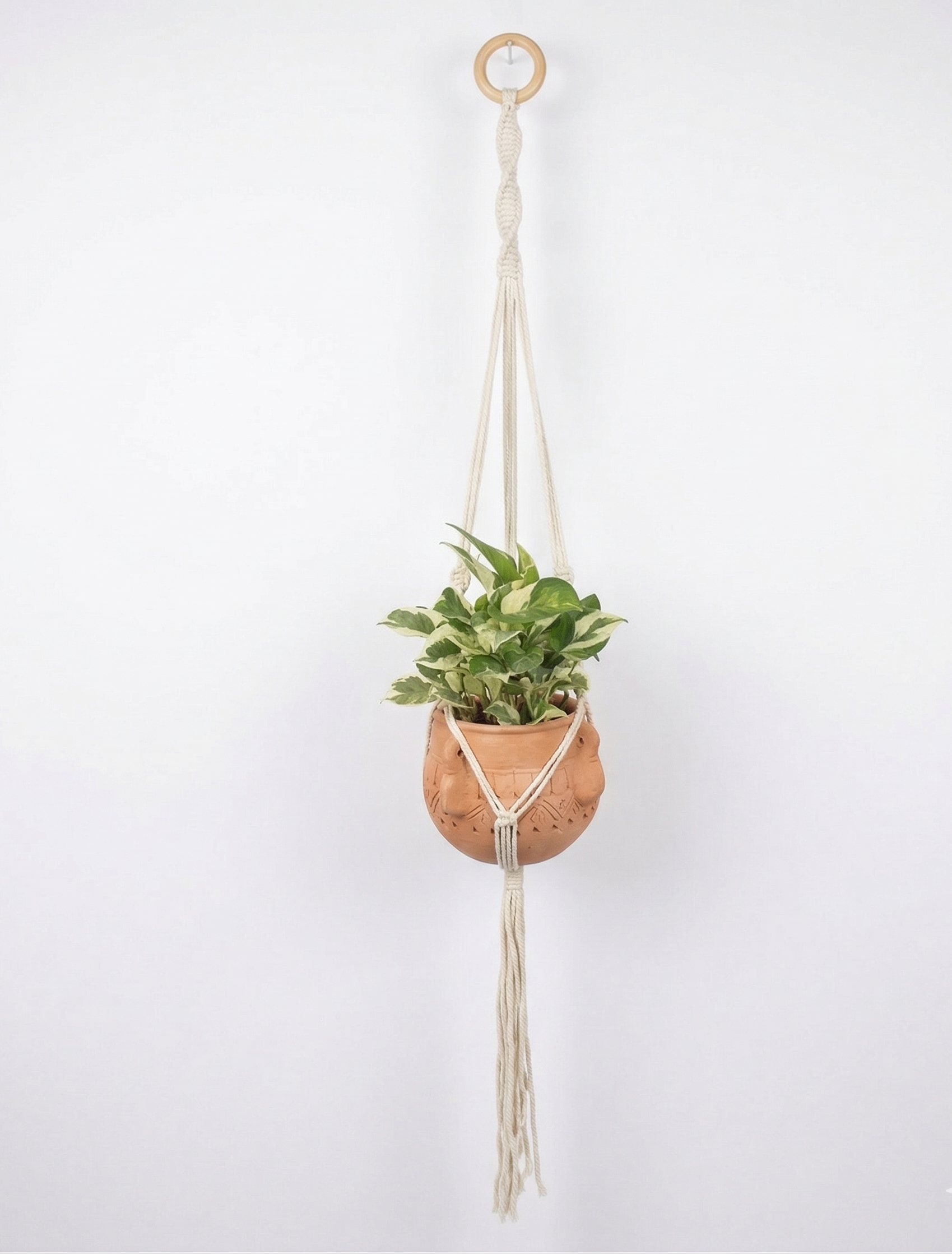 Hazel-Macramé Plant Holder