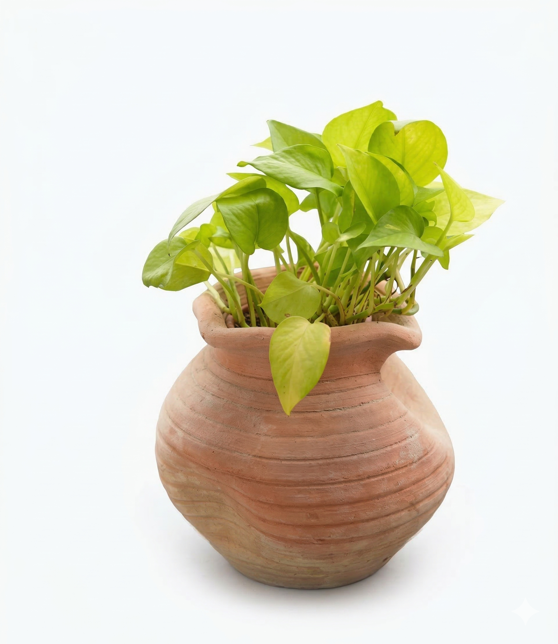 Contemporary Twisted