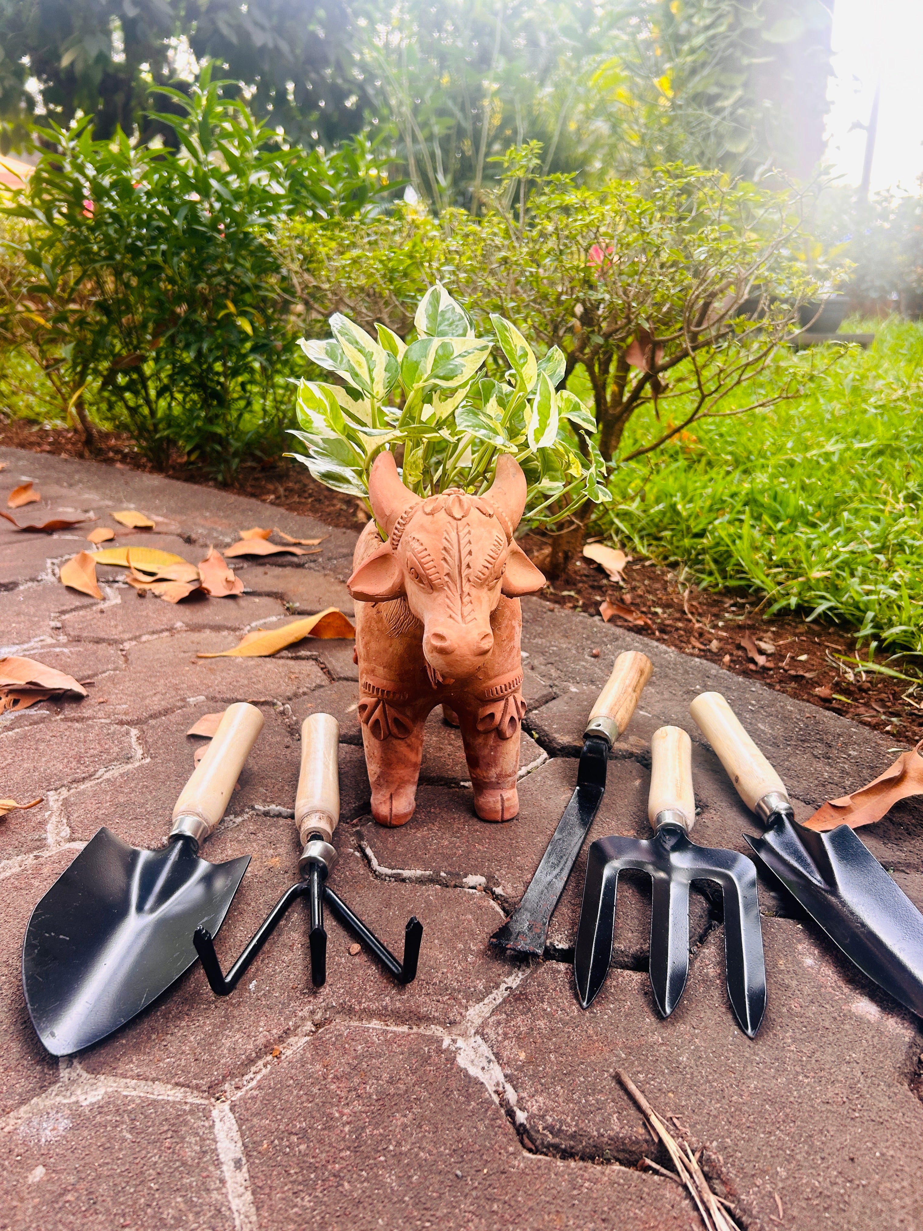 All-in-One Garden Tool Kit