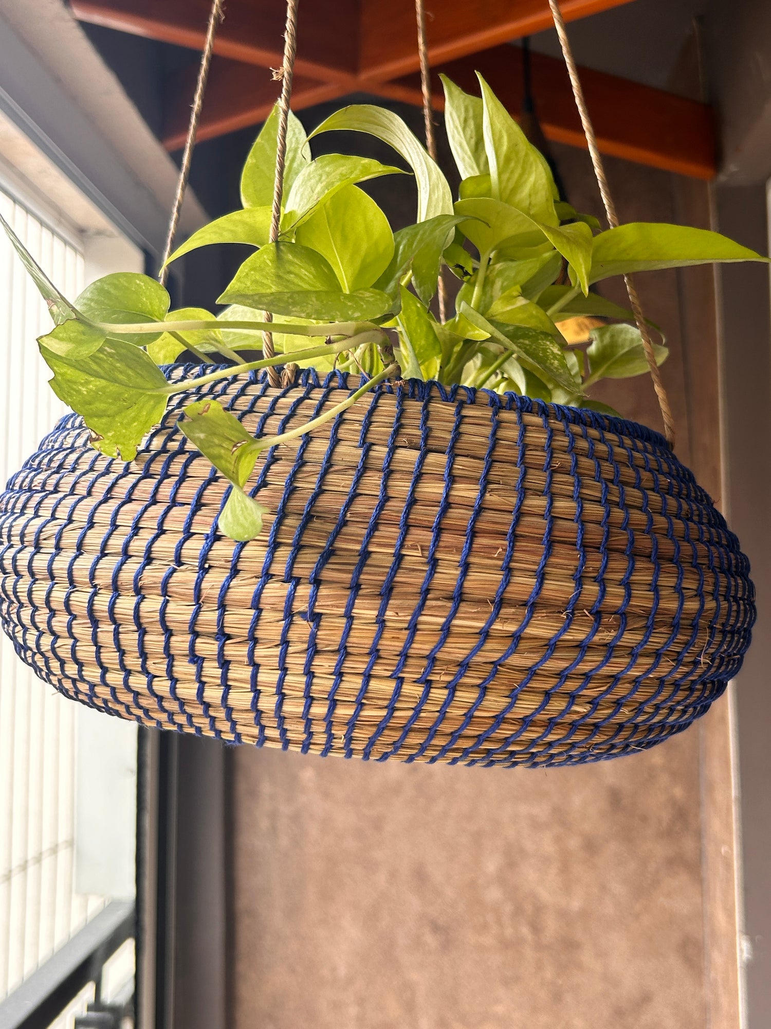 Twilight Trail Planter