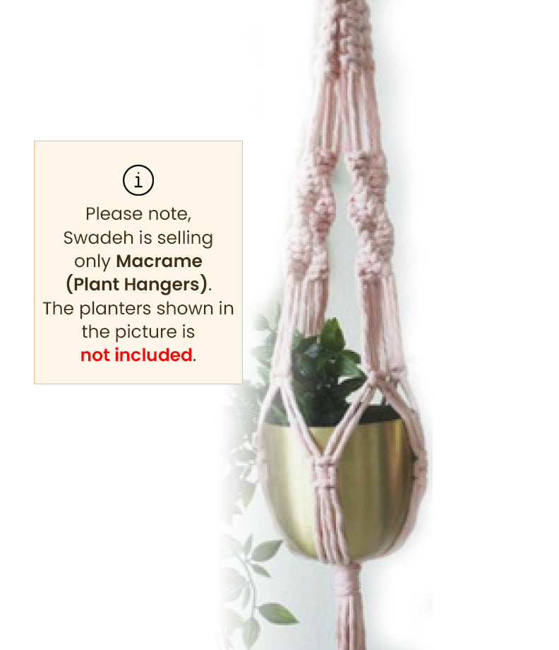 Ivy-Macramé Plant Holder