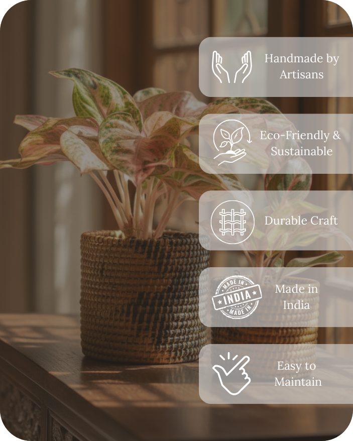 SOIL & STILLNESS (SET OF 2)