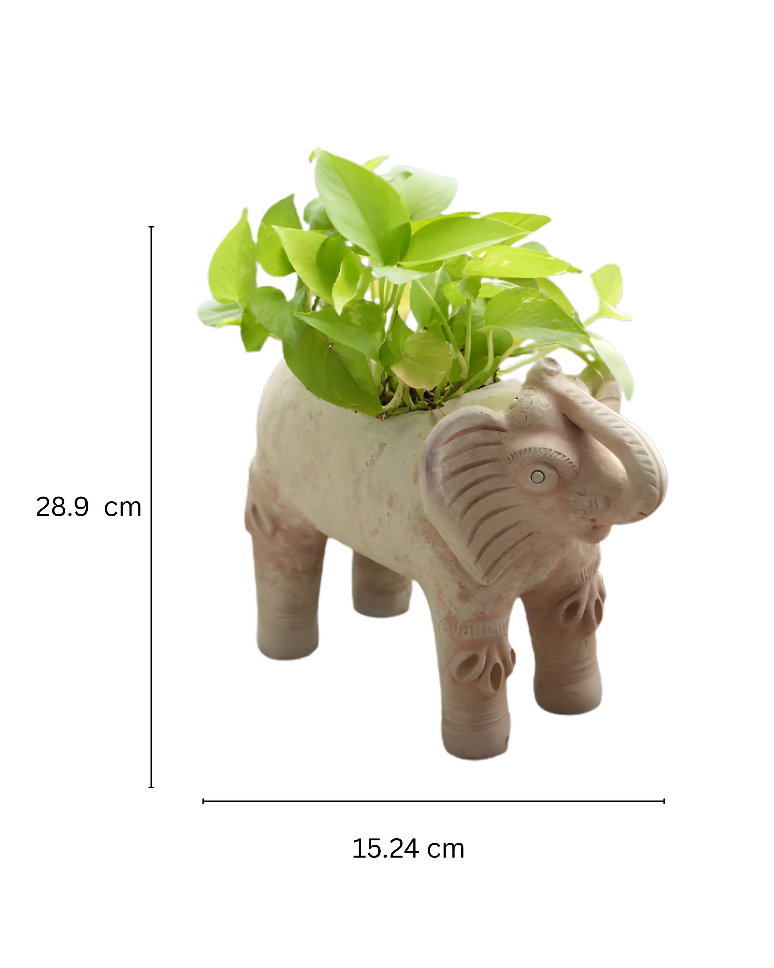Royal Elephant