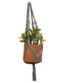 Sage-Macramé-Planter- Combo