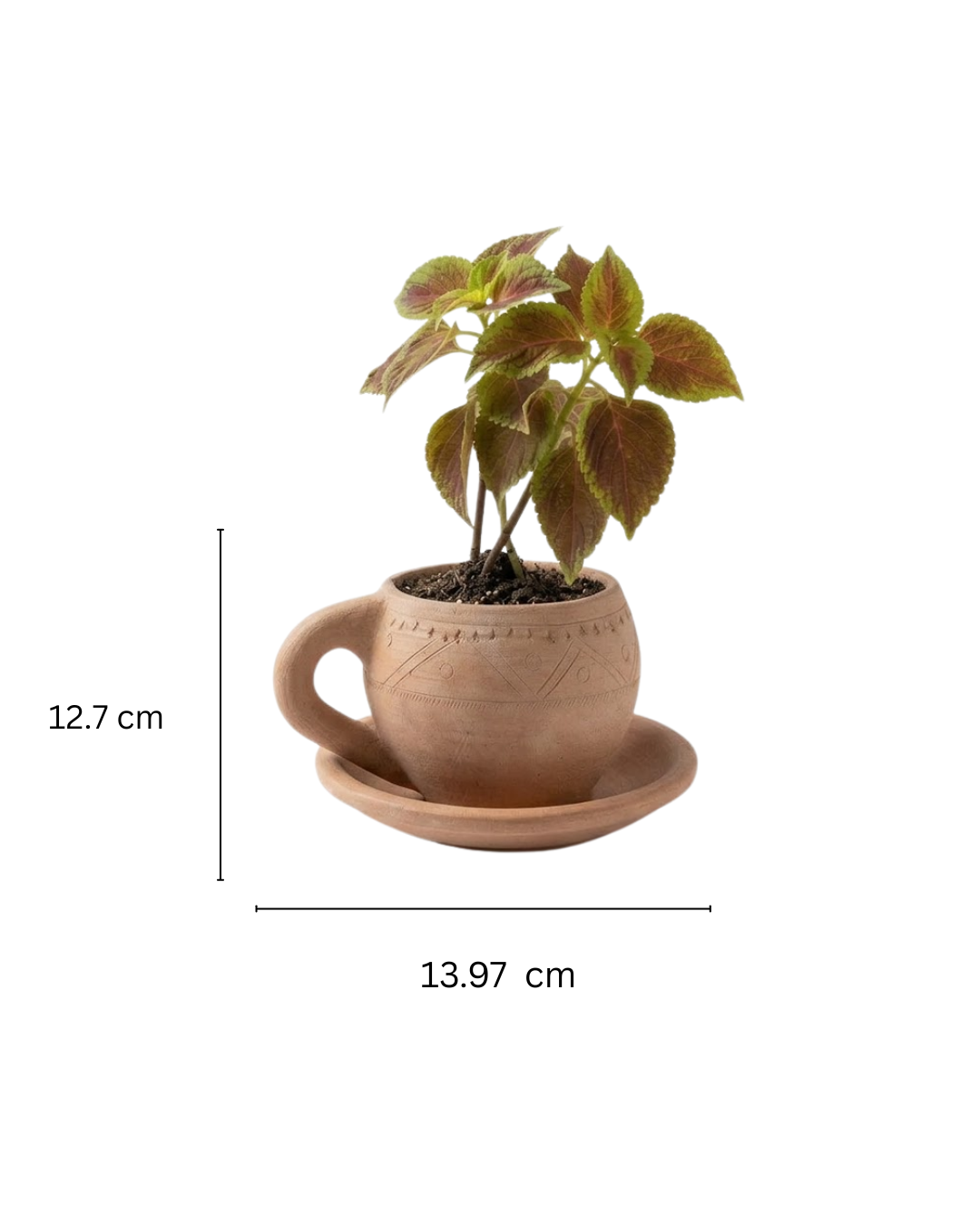 Cup-Saucer ( Small)