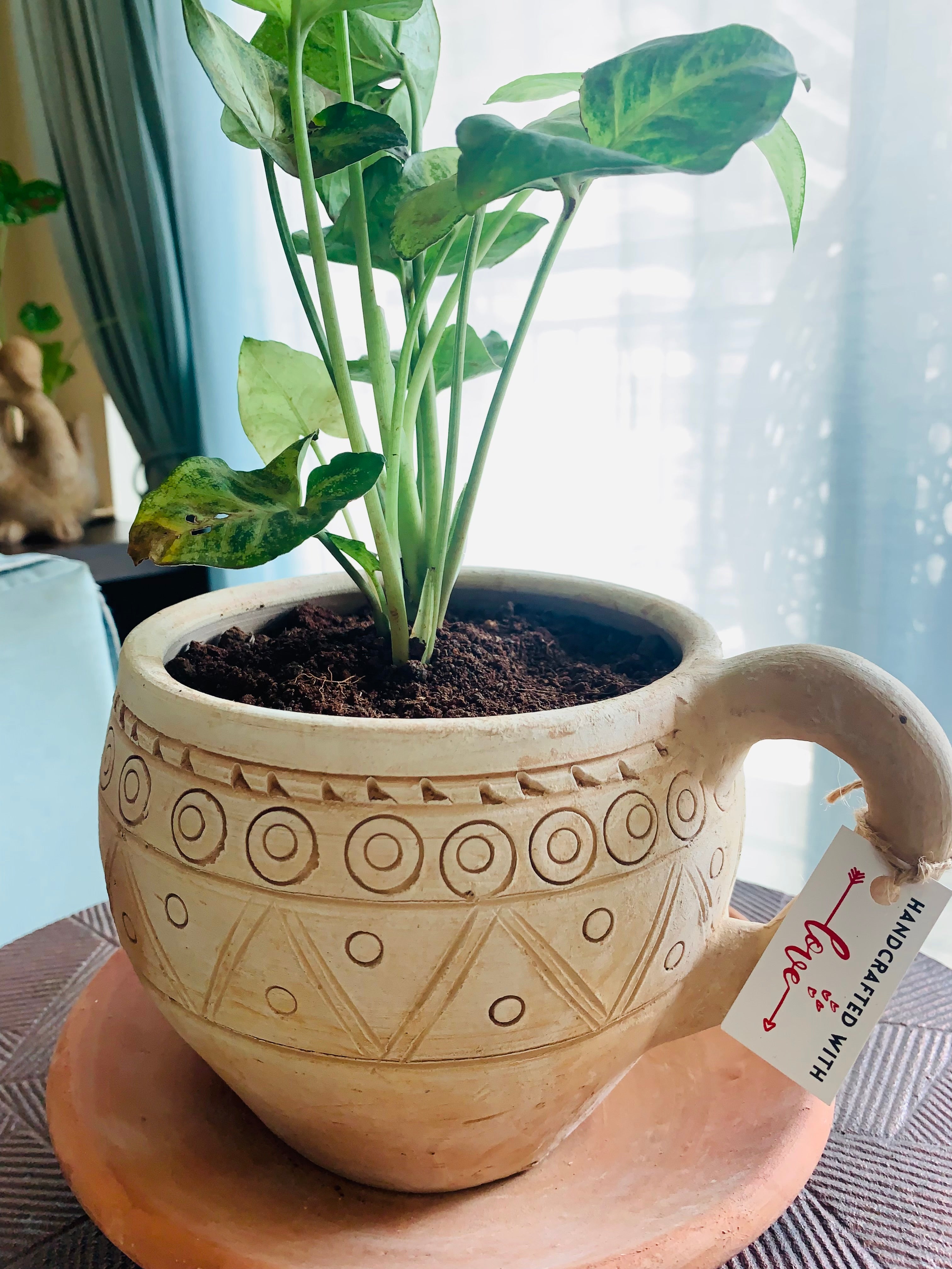 Cup-Saucer (Big)