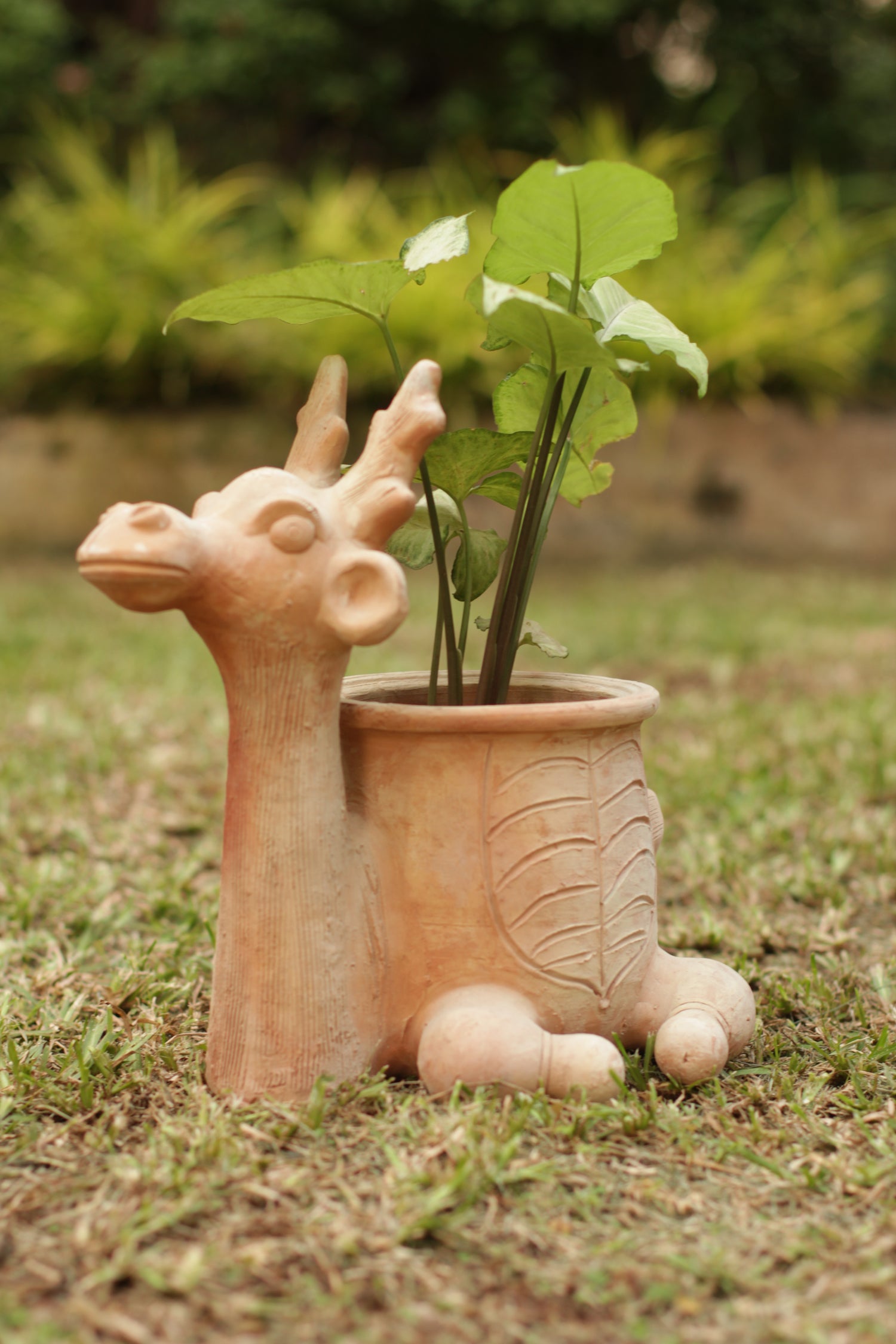 Crafting A Green Haven : Using Swadeh's Diverse Range Of Planters To Beautify Your Home
