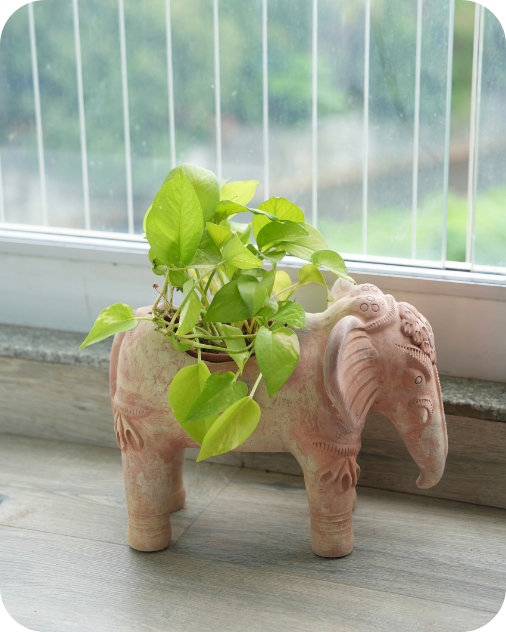 Elephant Planters