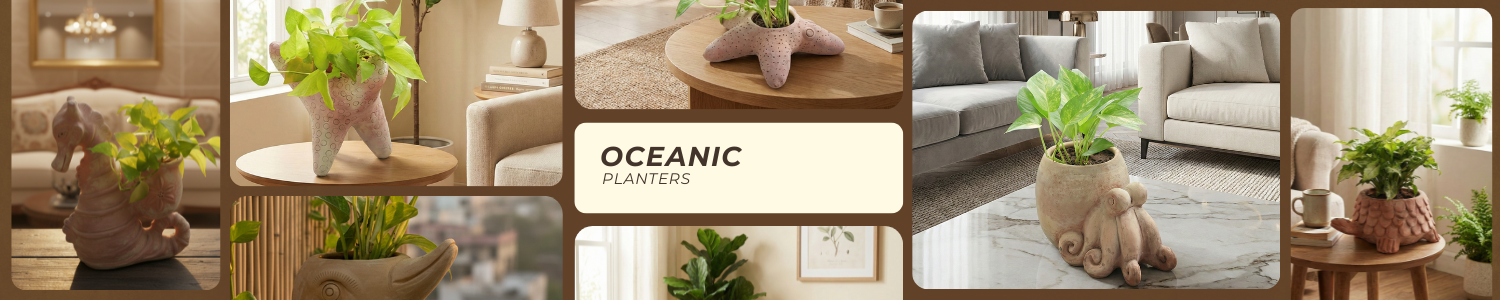OCEAN PLANTERS
