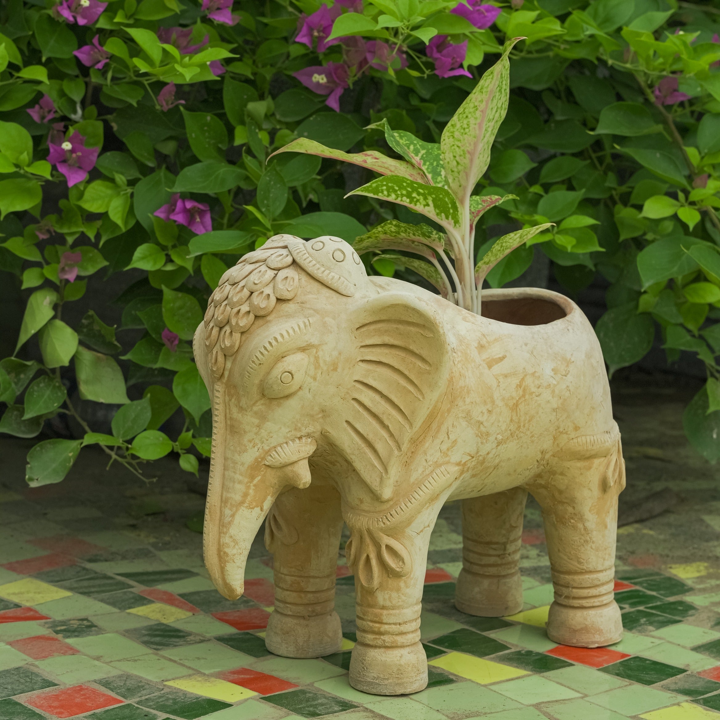 TRADITIONAL PLANTERS