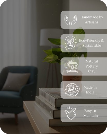 Mini Flora-Fin Dolphin