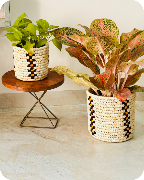 WOVEN ROOTS (SET OF 2)