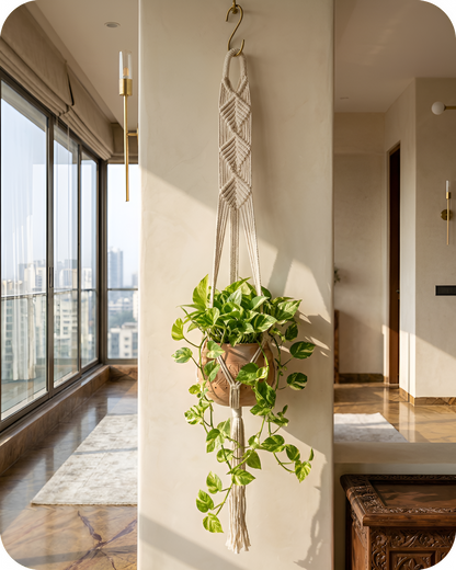 Maple-Macramé Planter- Combo