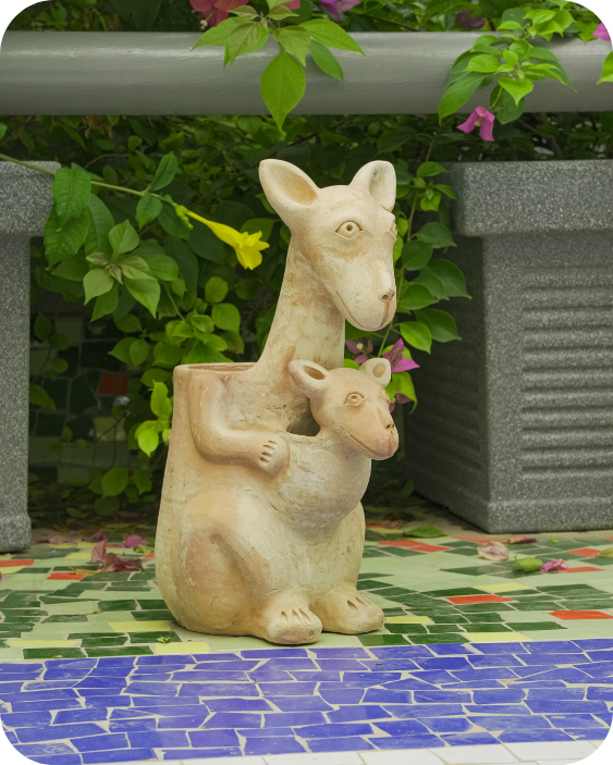 Hoppy Kangaroo