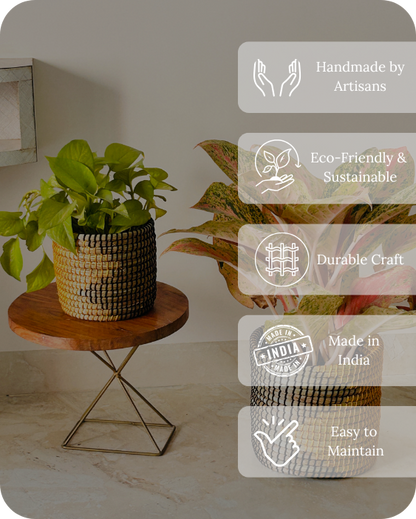 SOIL &amp; STILLNESS (SET OF 2)