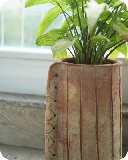 Eco Edge