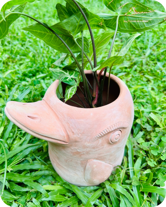 Mini Flora-Fin Dolphin