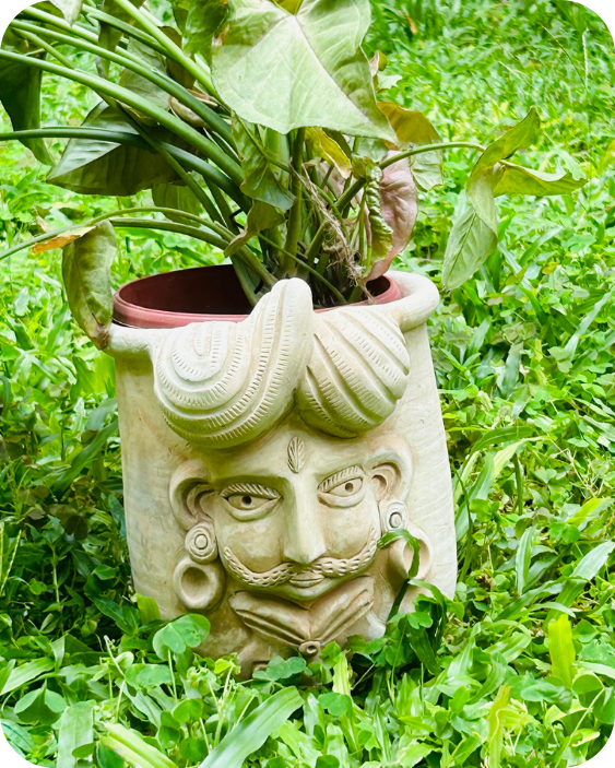 Monarch Raja