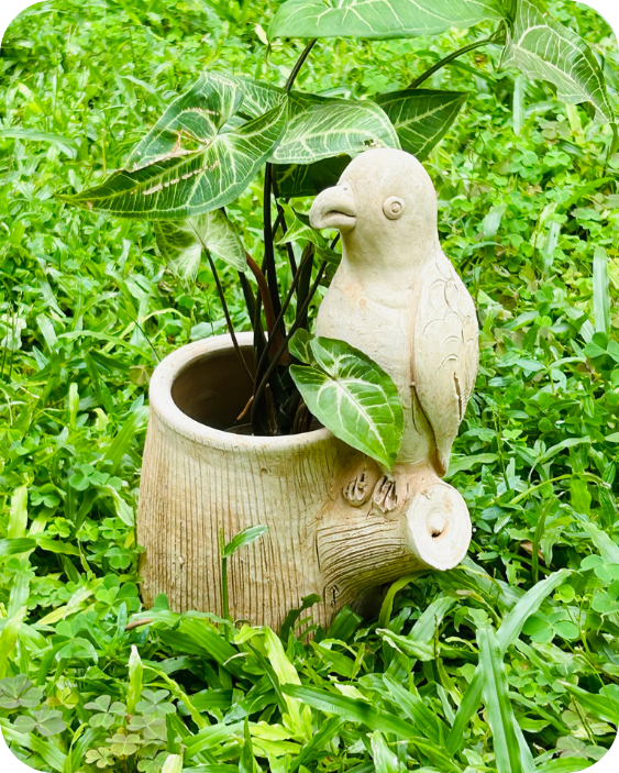 Vibrant Winged Parrot