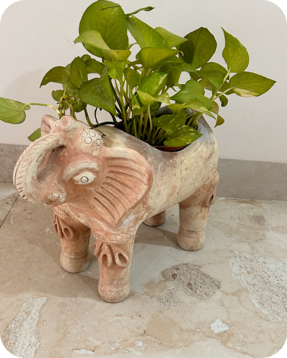 Royal Elephant