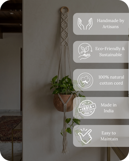Fern- Macramé- Planter- Combo