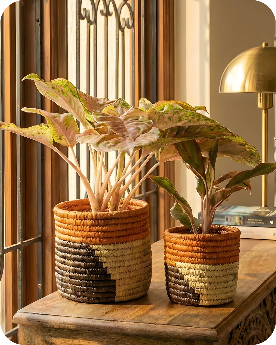 HAVEN OF HUSK (SET OF 2)