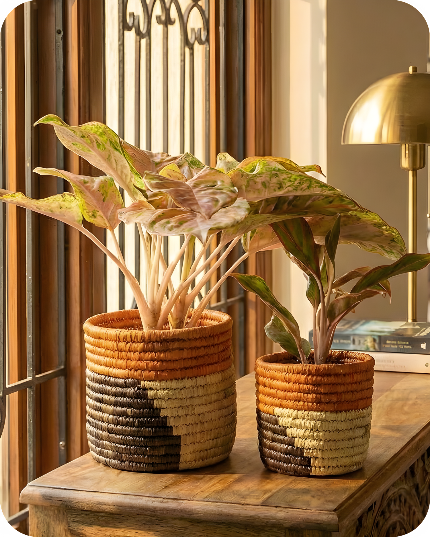 HAVEN OF HUSK  (SET OF 2)